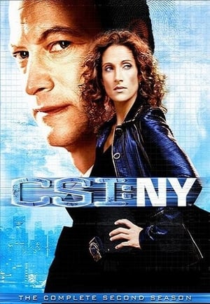 CSI: NY 2