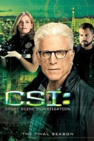 CSI – Scena del crimine 15