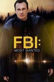 FBI: Most Wanted 3