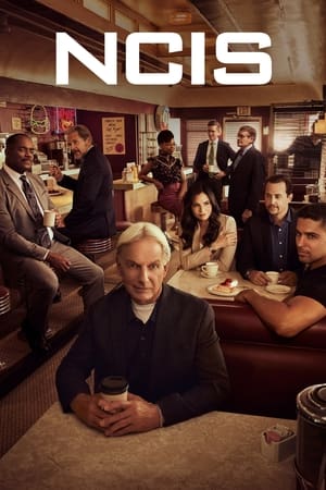 NCIS – Unità anticrimine 19