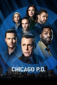 Chicago P.D. 9