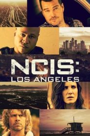 NCIS: Los Angeles 13