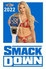 WWE SmackDown 24