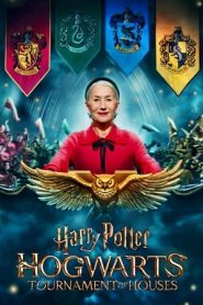 Harry Potter: Hogwarts Tournament of Houses 1