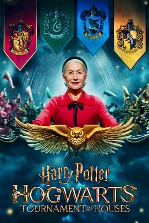 Harry Potter: Hogwarts Tournament of Houses 1