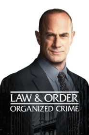 Law & Order: Organized Crime 2