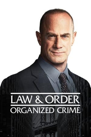 Law & Order: Organized Crime 2