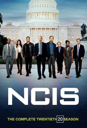 NCIS – Unità anticrimine 20