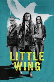 Little Wing – Il senso di casa